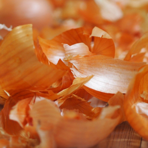 Почему луковую шелуху называют секретным оружием огородника: 5 неожиданных способов использования